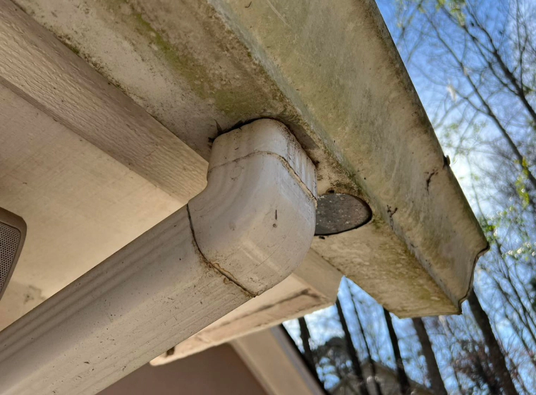 neglected gutter with molds tybee island ga